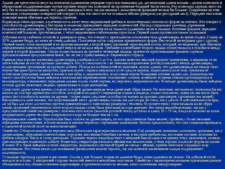 Задние две трети хвоста несут на позвонках удлиненные передние отростки гемальных дуг, достигающие длины