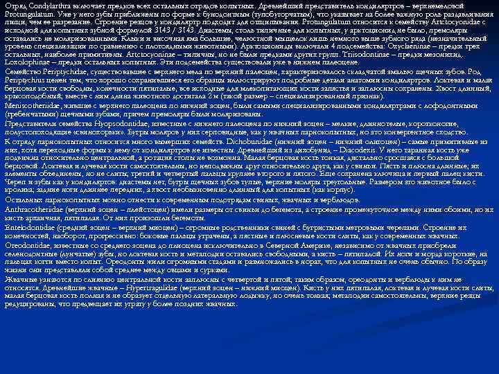 Отряд Condylarthra включает предков всех остальных отрядов копытных. Древнейший представитель кондиляртров – верхнемеловой Protungulatum.