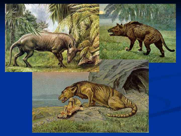 Первые млекопитающие появились в. Млекопитающие мезозойской эры. Первые млекопитающие мезозойской эры. Эра мезозой сумчатые. Плацентарные Кайнозойская Эра.