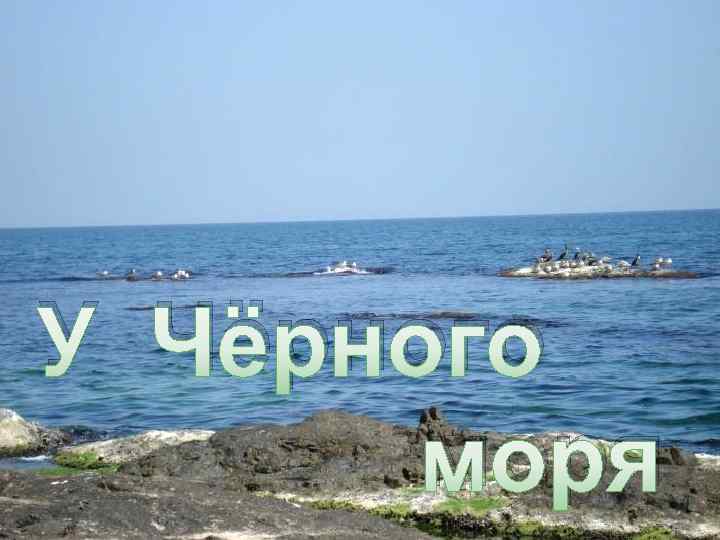 У Чёрного моря 