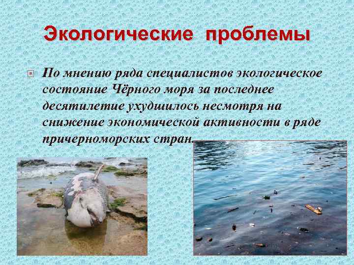Экологические проблемы По мнению ряда специалистов экологическое состояние Чёрного моря за последнее десятилетие ухудшилось