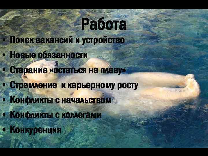 Работа • • Поиск вакансий и устройство Новые обязанности Старание «остаться на плаву» Стремление