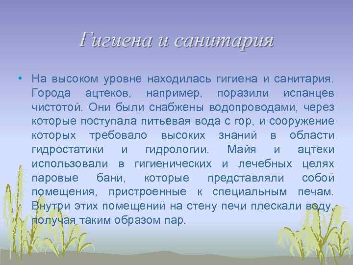 Гигиена и санитария • На высоком уровне находилась гигиена и санитария. Города ацтеков, например,