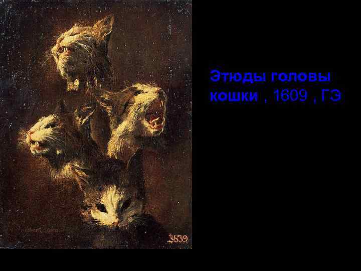 Этюды головы кошки , 1609 , ГЭ 