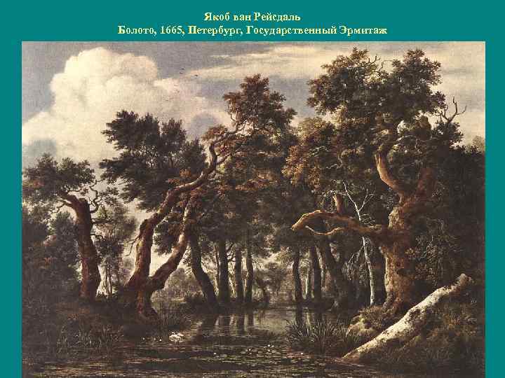 Якоб ван Рейсдаль Болото, 1665, Петербург, Государственный Эрмитаж 