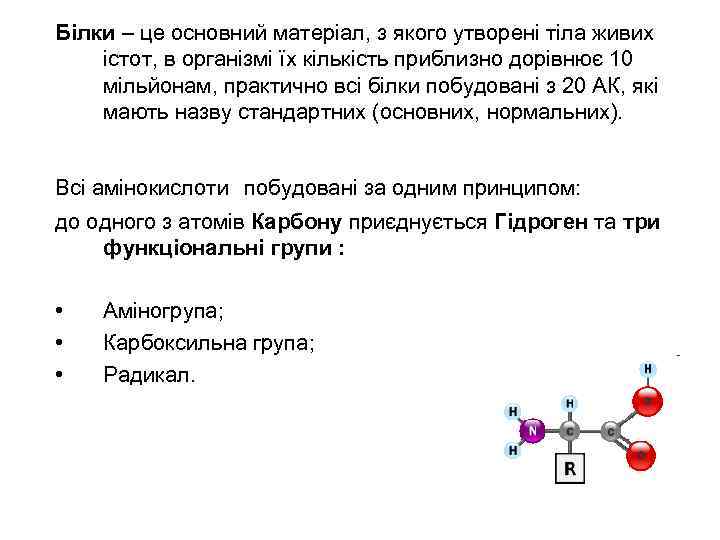 Білки – це основний матеріал, з якого утворені тіла живих істот, в організмі їх