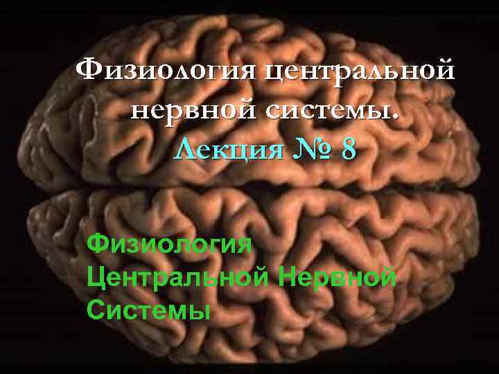 Физиология центральной нервной системы. Лекция № 8 Физиология Центральной Нервной Системы 