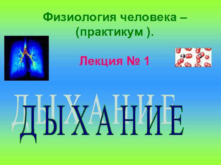 Физиология человека – (практикум ). Лекция № 1 