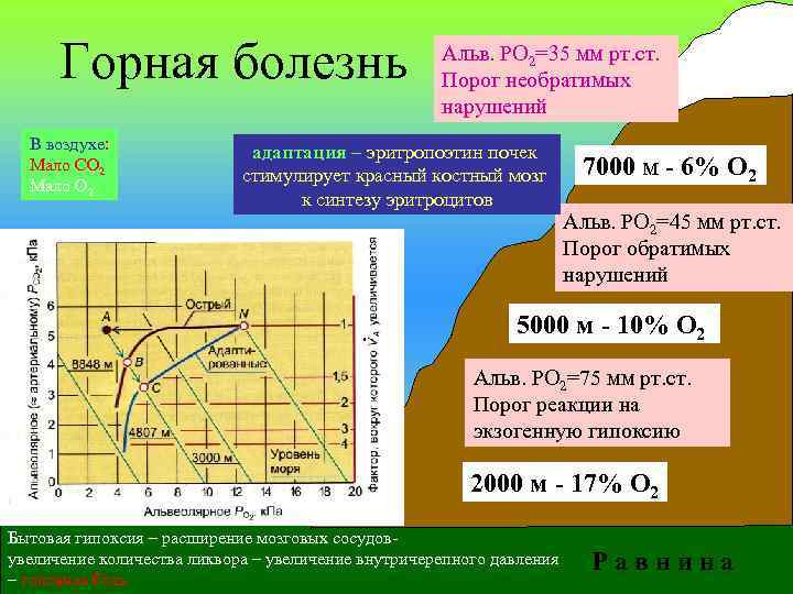 Горная болезнь В воздухе: Мало СО 2 Мало О 2 Альв. РО 2=35 мм