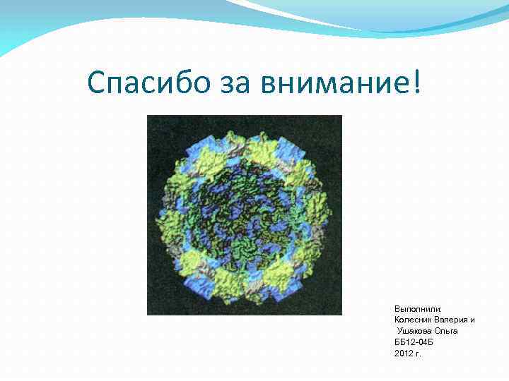 Спасибо за внимание! Выполнили: Колесник Валерия и Ушакова Ольга ББ 12 -04 Б 2012
