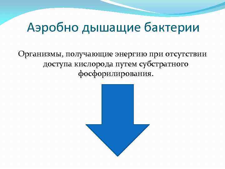 Аэробно дышащие бактерии Организмы, получающие энергию при отсутствии доступа кислорода путем субстратного фосфорилирования. 