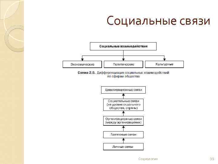 Социальные связи Социология 33 