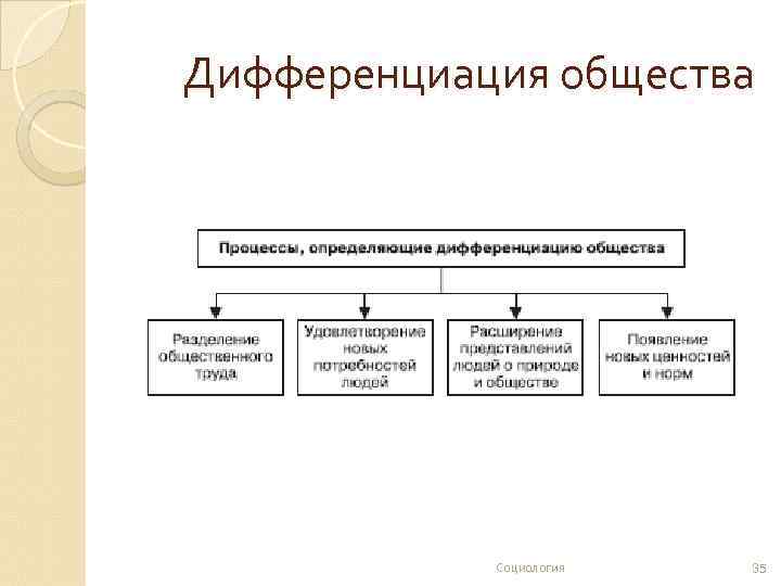 Дифференциация общества Социология 35 