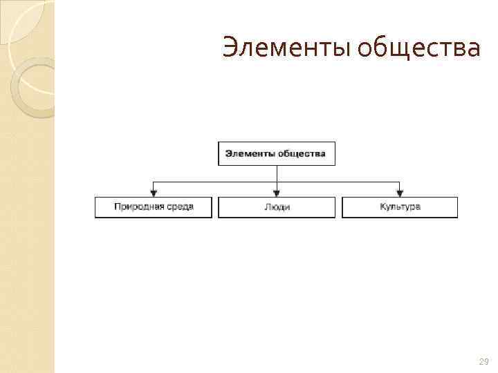 Элементы общества 29 