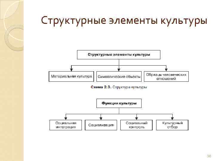 Структурные элементы культуры 36 