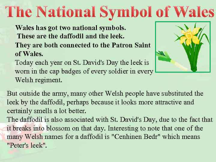 Wales has got two national symbols. These are the daffodil and the leek. They