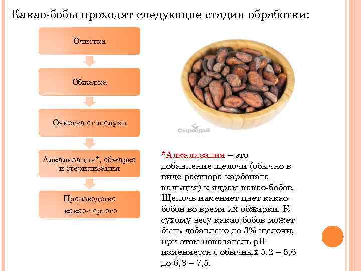 Технологическая схема первичной переработки какао бобов включает