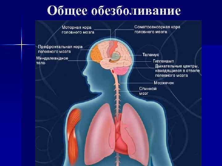 Общее обезболивание 