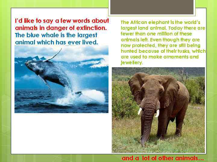 I’d like to say a few words about animals in danger of extinction. The