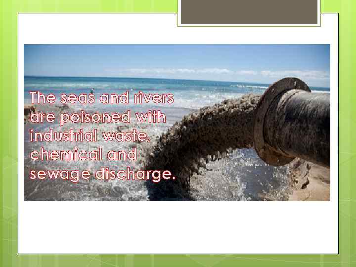 The seas and rivers are poisoned with industrial waste, chemical and sewage discharge. 