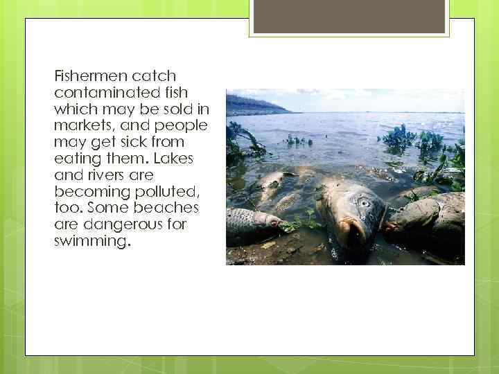 Fishermen catch contaminated fish which may be sold in markets, and people may get