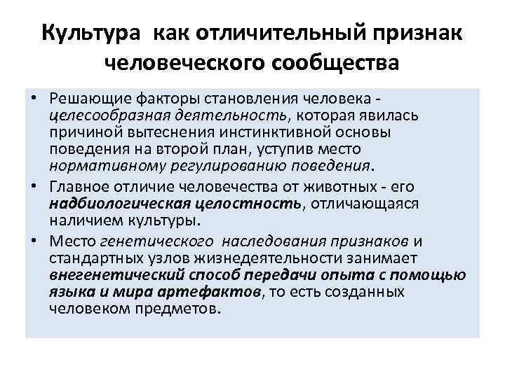 Культура как отличительный признак человеческого сообщества • Решающие факторы становления человека целесообразная деятельность, которая