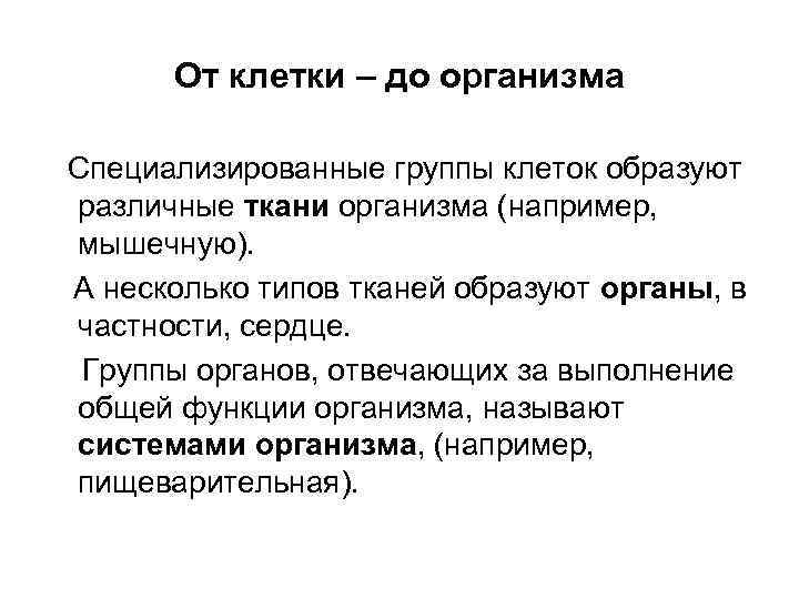 От клетки – до организма Специализированные группы клеток образуют различные ткани организма (например, мышечную).