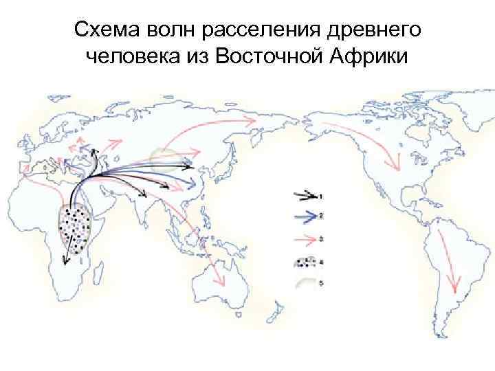 Схема волн расселения древнего человека из Восточной Африки 