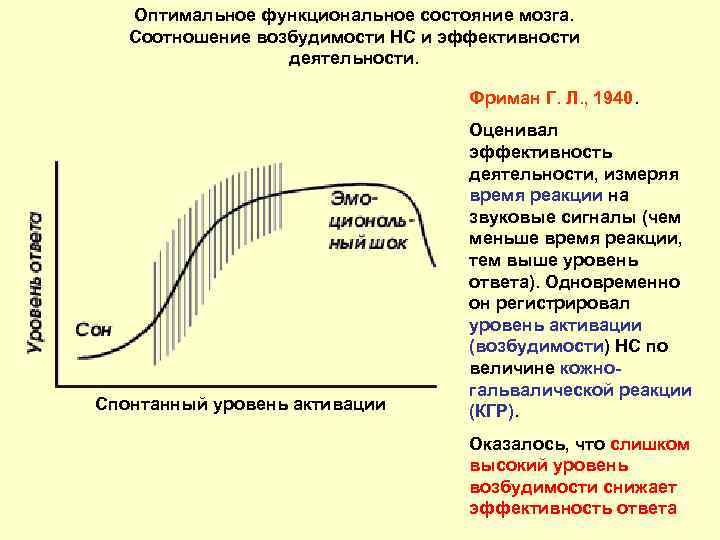 Оптимальное функциональное состояние