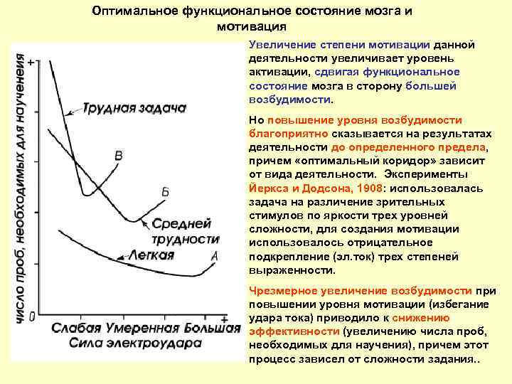 Оптимальное функциональное состояние