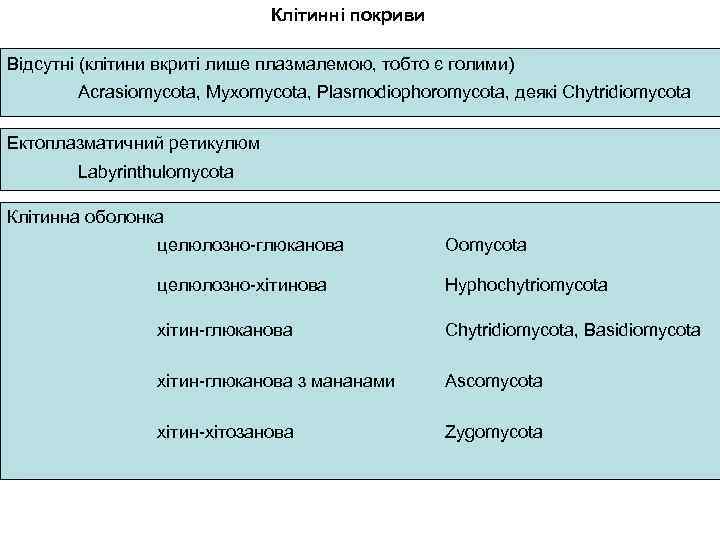 Клітинні покриви Відсутні (клітини вкриті лише плазмалемою, тобто є голими) Acrasiomycota, Myxomycota, Plasmodiophoromycota, деякі