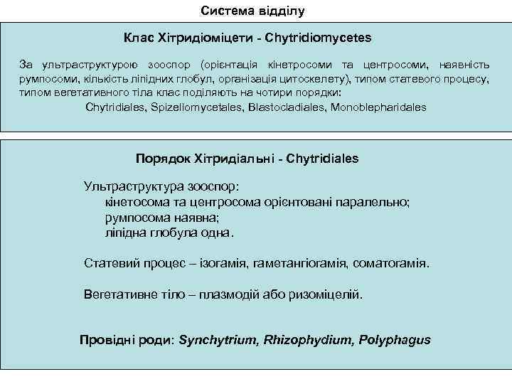 Система відділу Клас Хітридіоміцети - Chytridiomycetes За ультраструктурою зооспор (орієнтація кінетросоми та центросоми, наявність