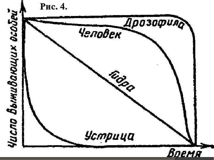 Рис. 4. 