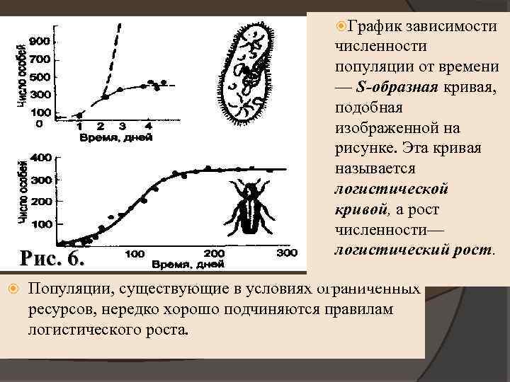 Фактор ограничивающий рост популяции