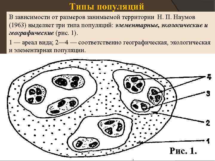 Тест вид популяция 11 класс