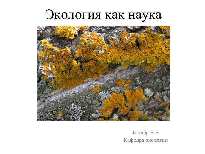 Экология как наука Таллер Е. Б. Кафедра экологии 