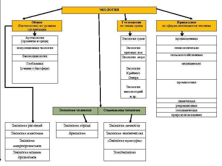 ЭКОЛОГИЯ Общая (биоэкология) по уровням организации Геоэкология по типам среды Прикладная по сферам деятельности