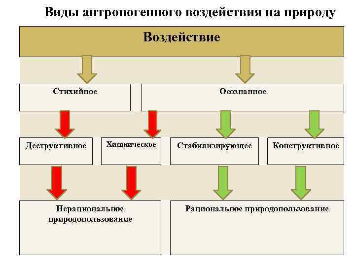 Непреднамеренное воздействие человека на природу