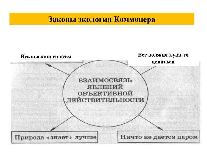 Связь с окружающей средой изучает наука