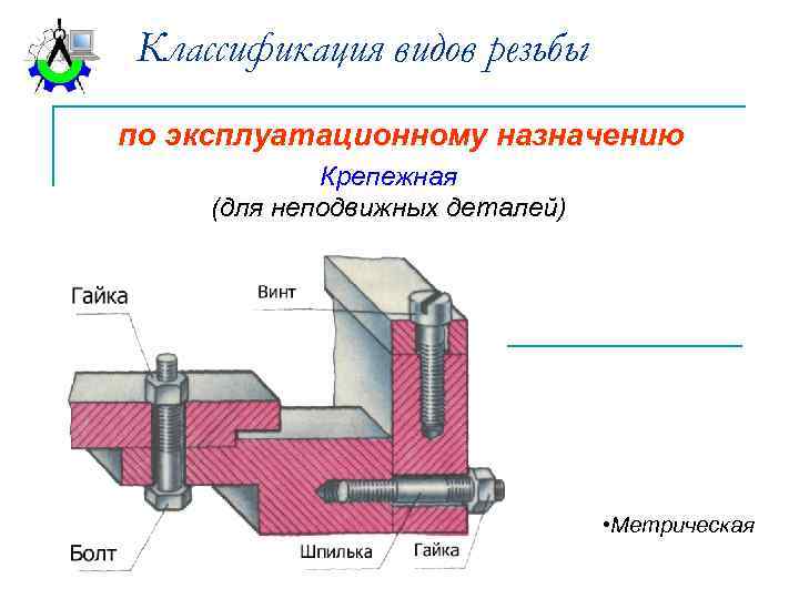 Классификация видов резьбы по эксплуатационному назначению Крепежная (для неподвижных деталей) • Метрическая 