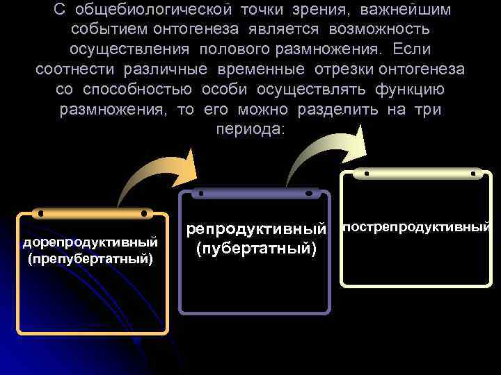 С общебиологической точки зрения, важнейшим событием онтогенеза является возможность осуществления полового размножения. Если соотнести