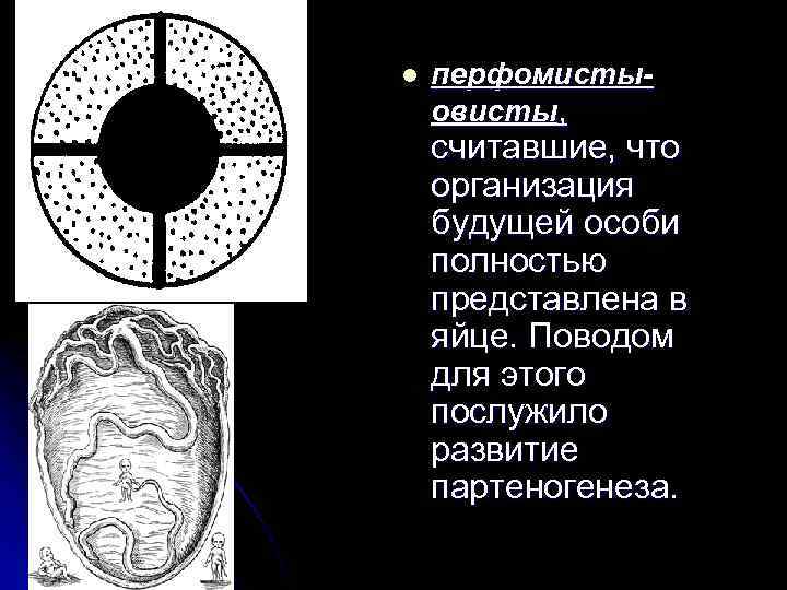 l перфомистыовисты, считавшие, что организация будущей особи полностью представлена в яйце. Поводом для этого