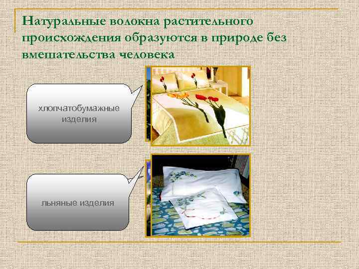 Натуральные волокна растительного происхождения образуются в природе без вмешательства человека хлопчатобумажные хлопчатник изделия лён