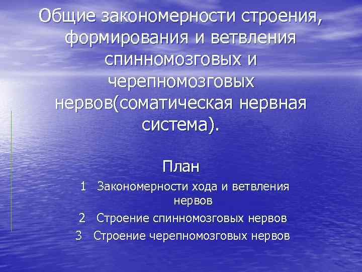 Общие закономерности строения, формирования и ветвления спинномозговых и черепномозговых нервов(соматическая нервная система). План 1