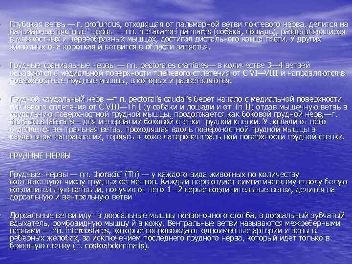  • Глубокая ветвь — г. profundus, отходящая от пальмарной ветви локтевого нерва, делится