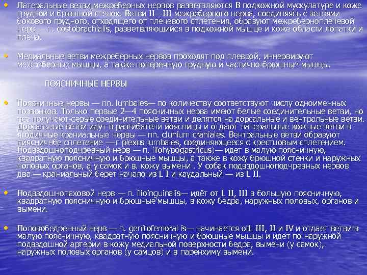  • Латеральные ветви межреберных нервов разветвляются В подкожной мускулатуре и коже грудной и