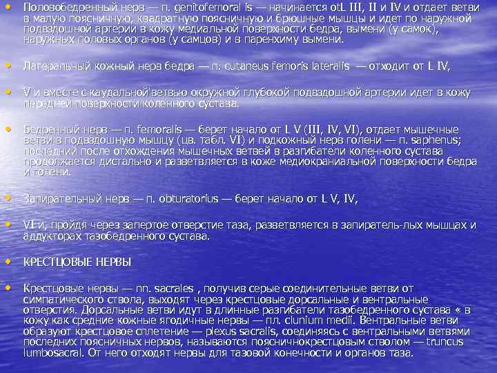  • Половобедренный нерв — п. genitofemoral is — начинается ot. L III, II