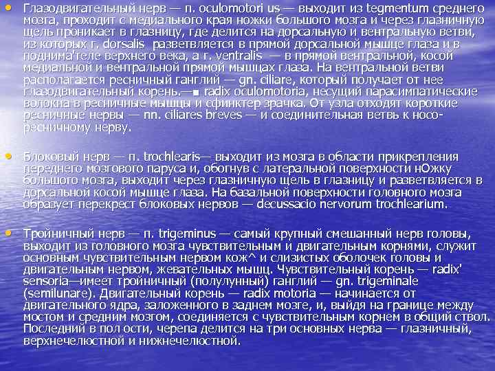  • Глазодвигательный нерв — п. oculomotori us — выходит из tegmentum среднего мозга,