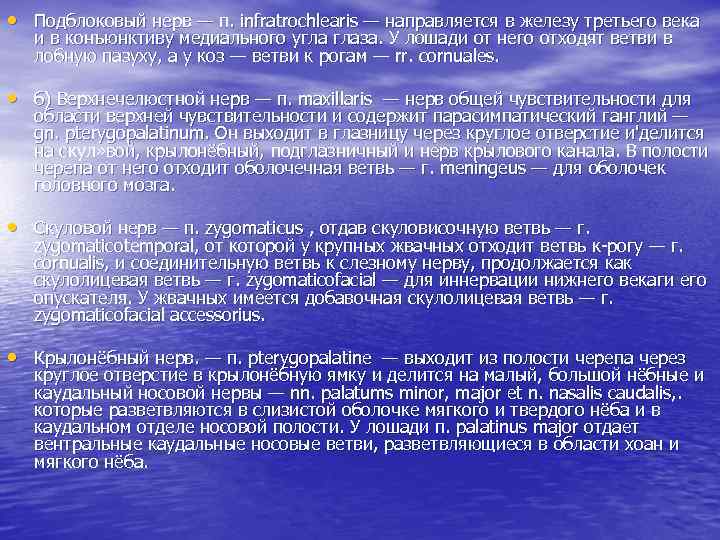  • Подблоковый нерв — п. infratrochlearis — направляется в железу третьего века и