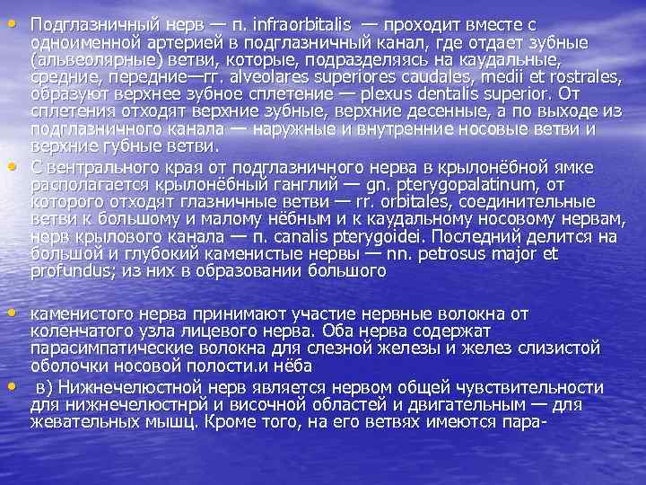  • Подглазничный нерв — п. infraorbitalis — проходит вместе с • одноименной артерией